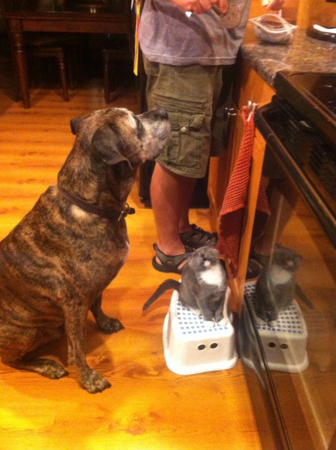 20130919_041150321_iOS