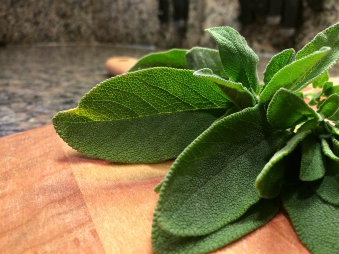 20150320_013413688_iOS